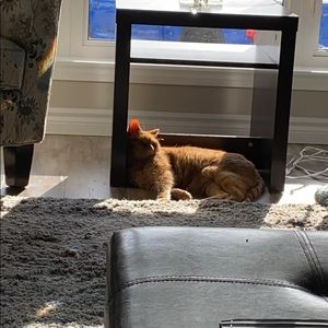 Meet your Posher, Alison